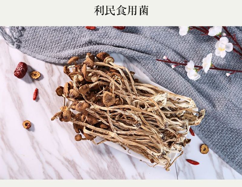 茶树菇古田自己种植茶树菇
