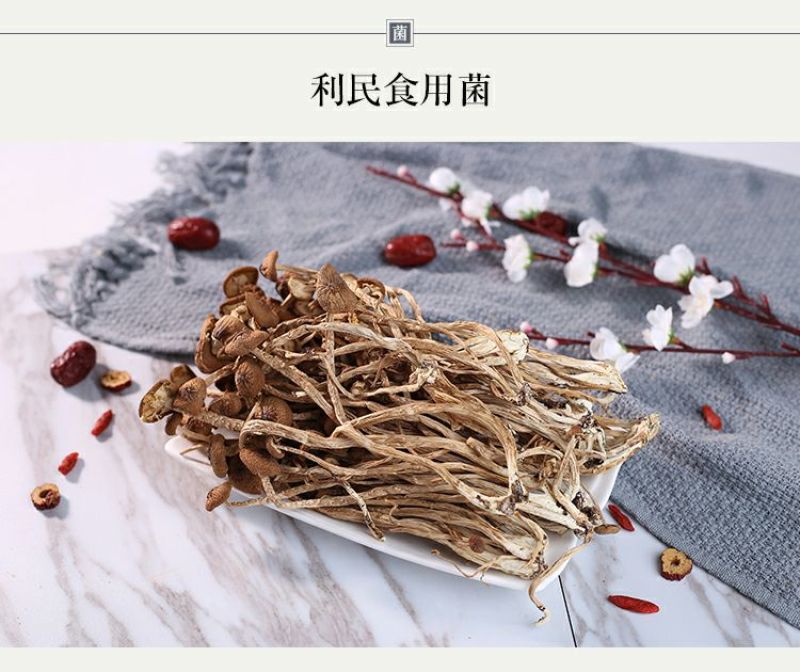茶树菇古田自己种植茶树菇
