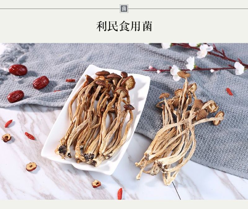 茶树菇古田自己种植茶树菇