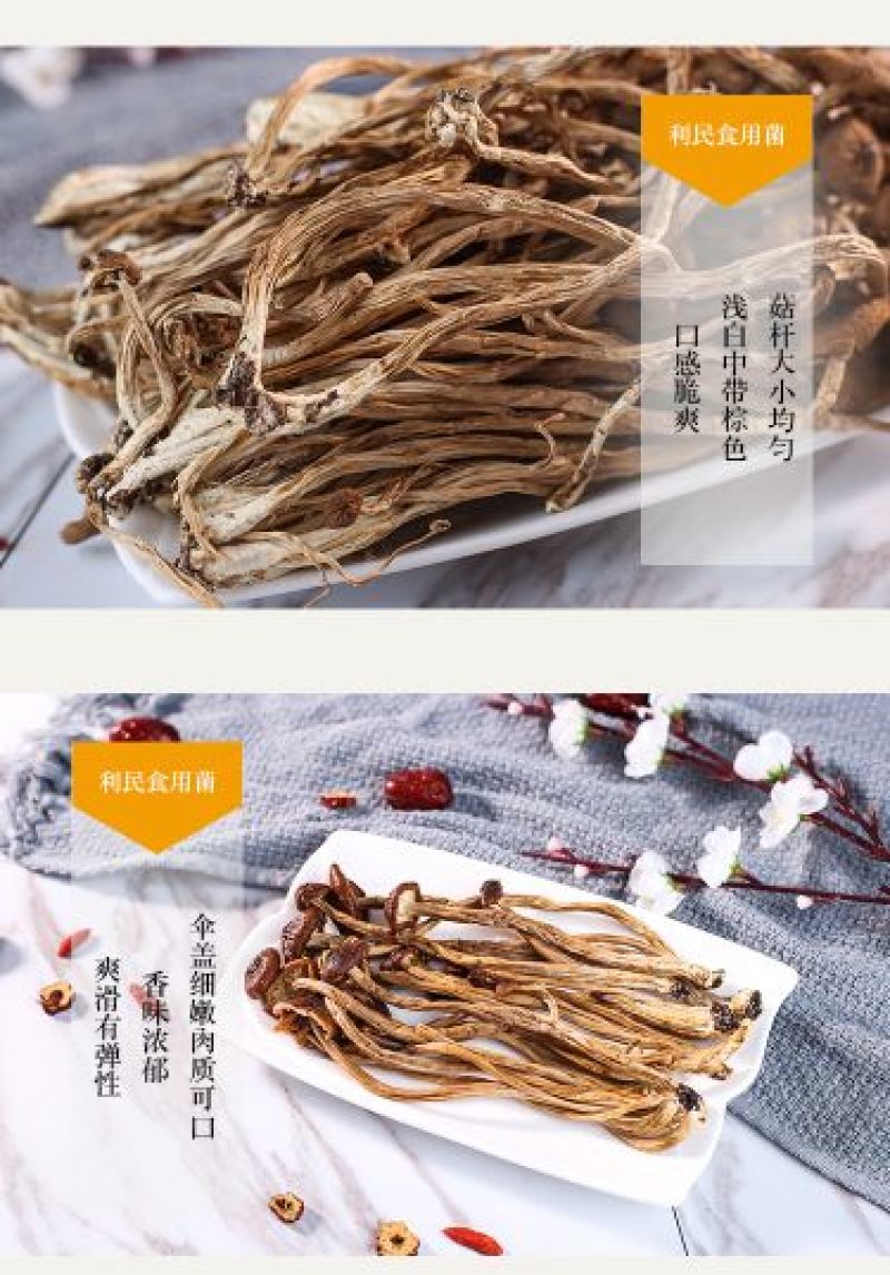 茶树菇古田自己种植茶树菇