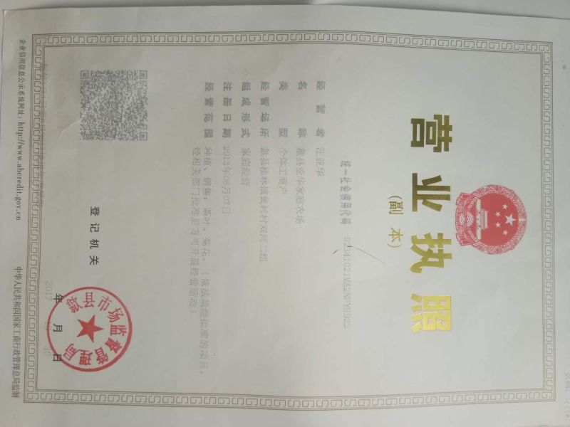 绿茶一级