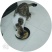 宠物猫