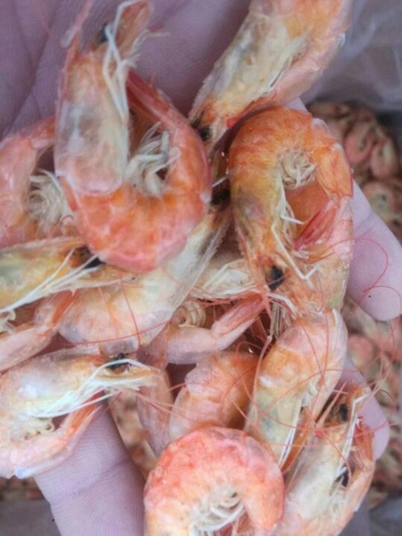 虾皮一级