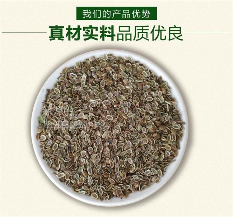 防风种子纯新种子90%以上春季播种5斤/亩