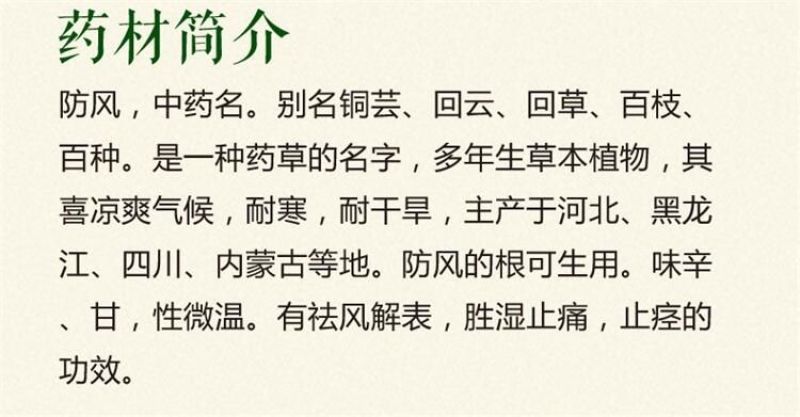 防风种子纯新种子90%以上春季播种5斤/亩