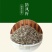 防风种子纯新种子90%以上春季播种5斤/亩
