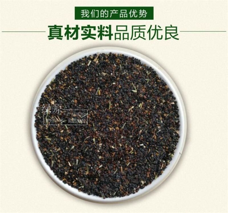 瞿麦种子2023年纯新种子多年生草本种植管理简单
