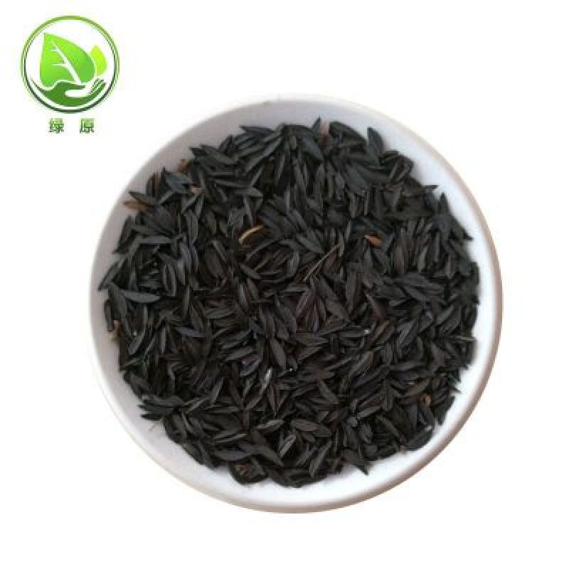 知母种子发芽率90%以上简单易管理生长三年可回收产品