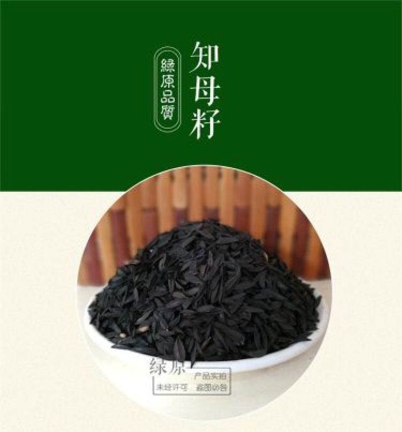 知母种子发芽率90%以上简单易管理生长三年可回收产品