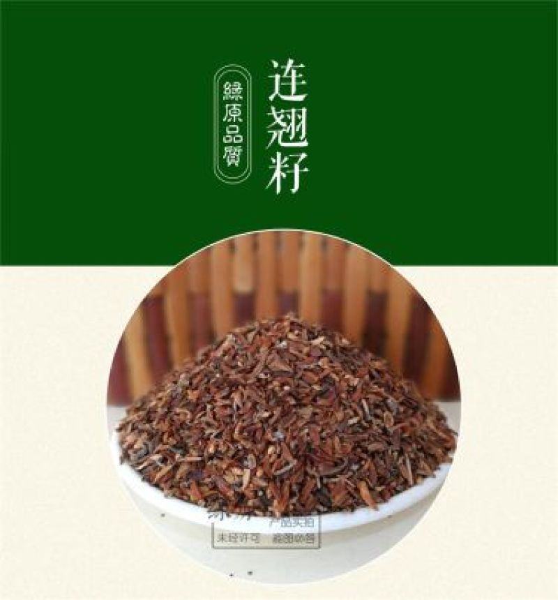 连翘种子纯新籽春季播种花期3-4月育苗20斤/亩