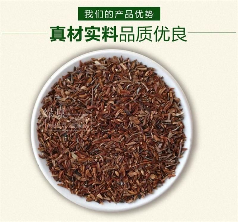 连翘种子纯新籽春季播种花期3-4月育苗20斤/亩