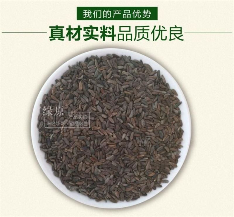 牛蒡种子纯新种子90%以上春季播种5斤/亩管理简单