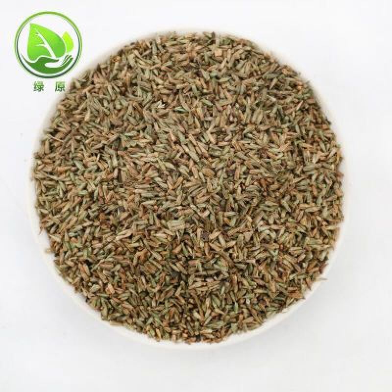 牛膝种子新货90%以上夏季播种简单易管理