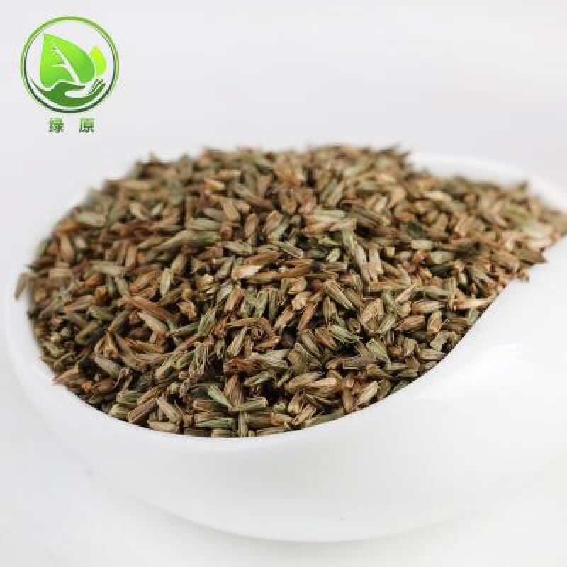 牛膝种子新货90%以上夏季播种简单易管理