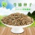 牛膝种子新货90%以上夏季播种简单易管理