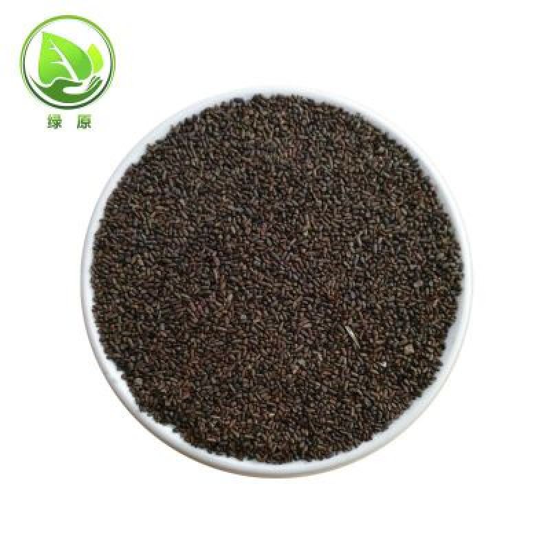 二月兰种子发芽率95%以上花期4-5月适应能力强