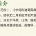 二月兰种子发芽率95%以上花期4-5月适应能力强