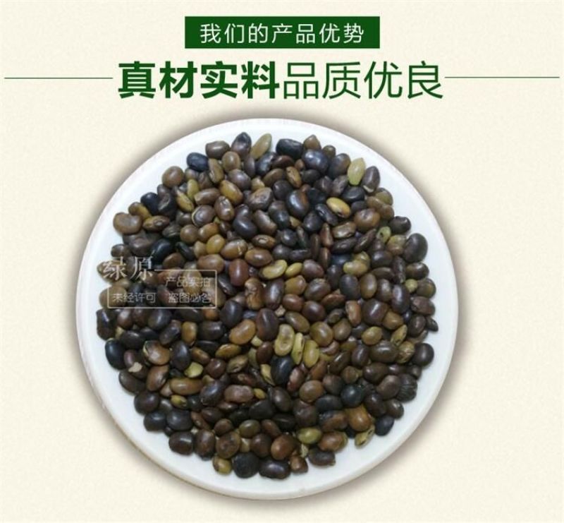 国槐种子纯新种子95%以上春季播种育苗13斤/亩
