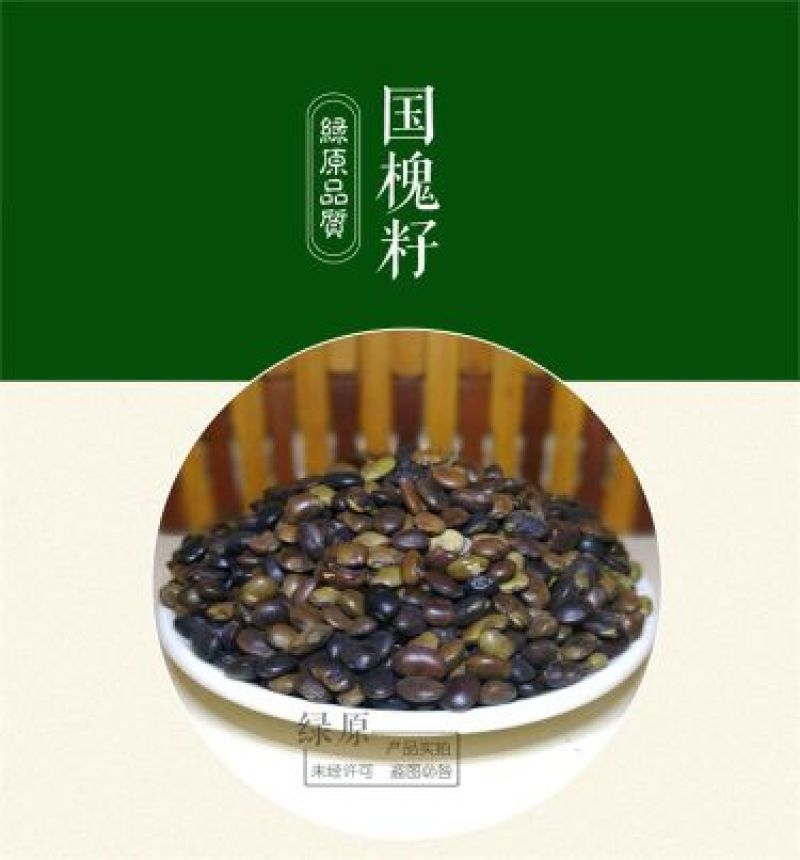 国槐种子纯新种子95%以上春季播种育苗13斤/亩