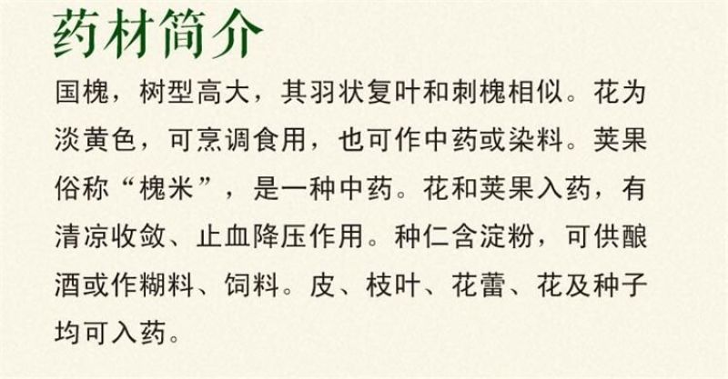 国槐种子纯新种子95%以上春季播种育苗13斤/亩