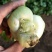 小油菜2两以上