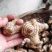 白芨鲜货统货