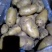 荷兰十五土豆精品4两以上