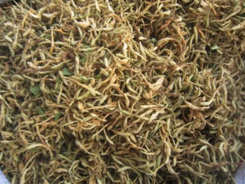 金银花统花常年大量供应山东道地各种中药材
