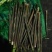 大量供应新鲜绿竹笋17~21cm