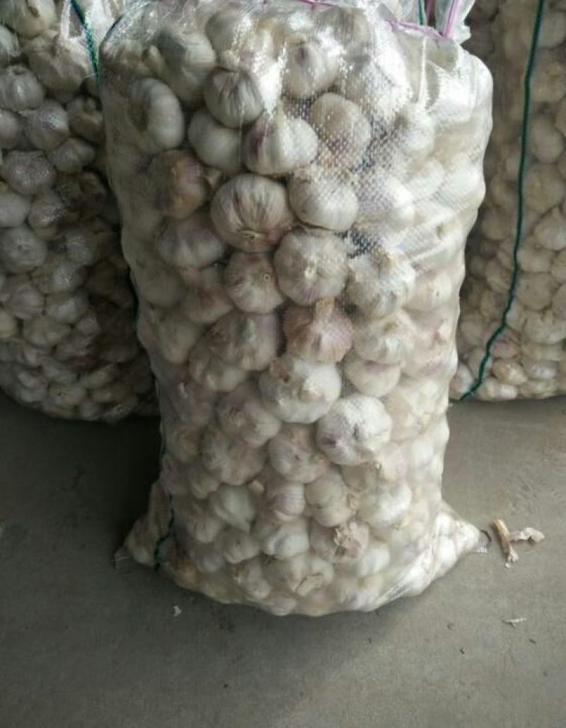 精品金乡太空大蒜代加工包装