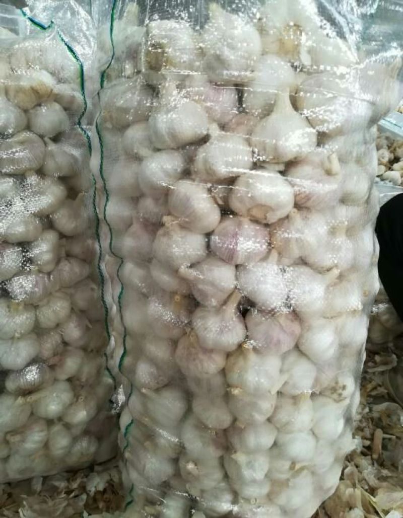 精品金乡太空大蒜代加工包装