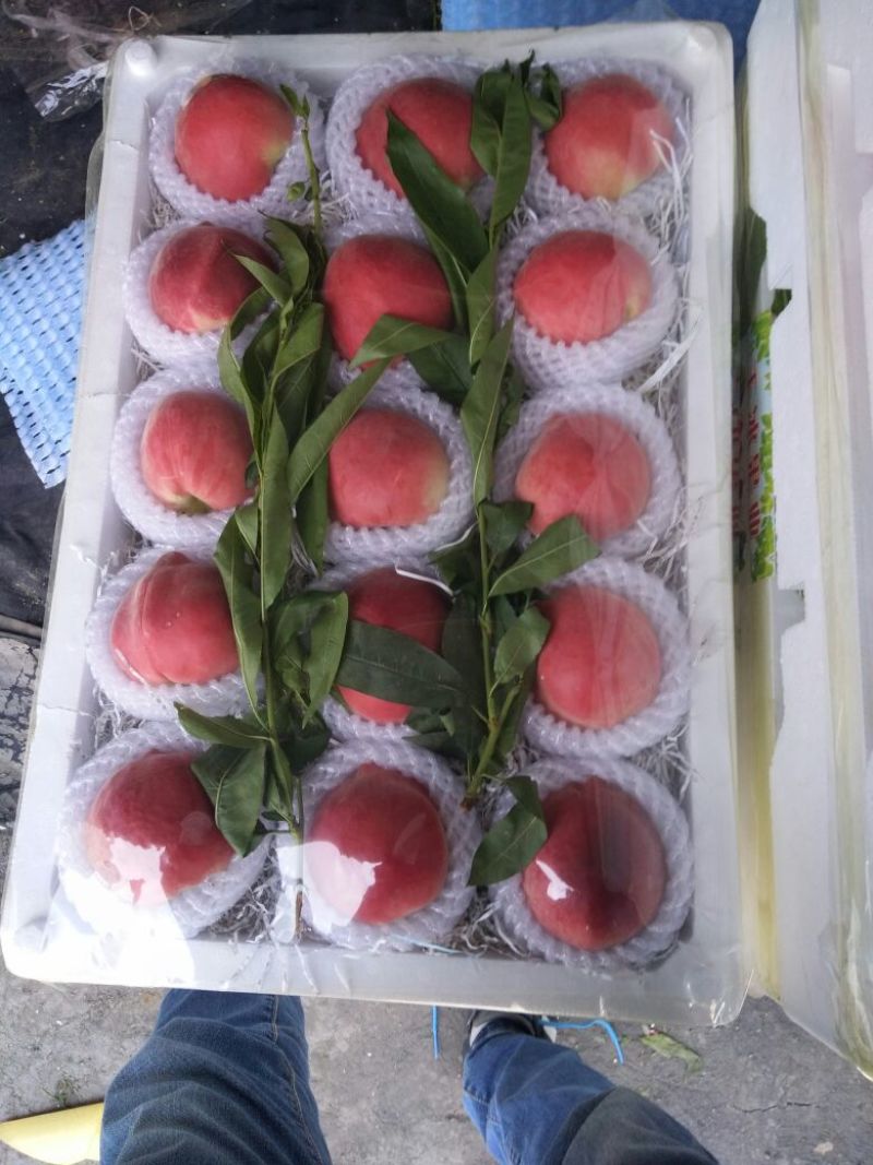 油桃2两以上