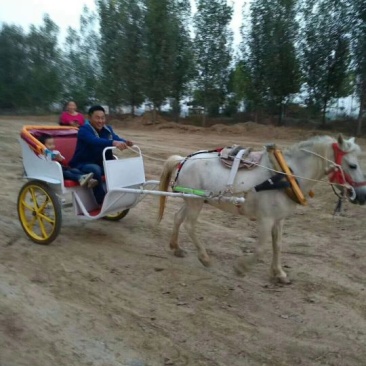 肉马400~500kg
