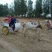 肉马400~500kg