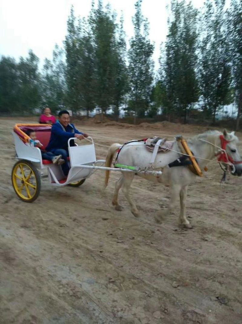 肉马400~500kg
