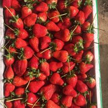 美国甜查理草莓30~40克