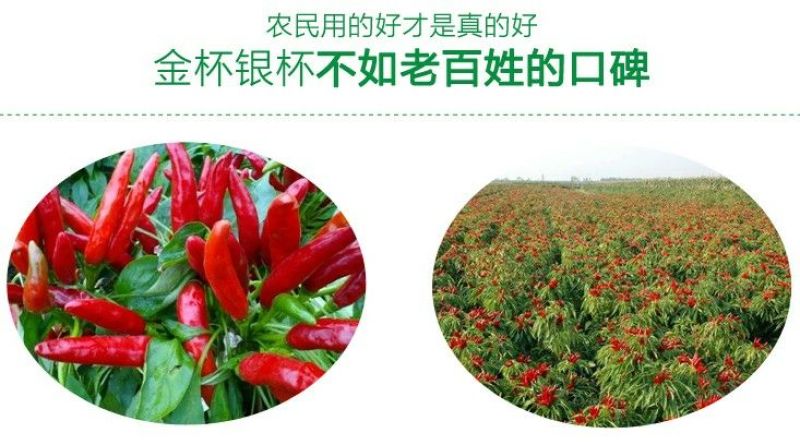 金丰保辣椒专用叶面肥青椒线椒朝天椒营养液拉直拉长剂叶面肥