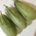 羊角蜜甜瓜0.3斤以上统货