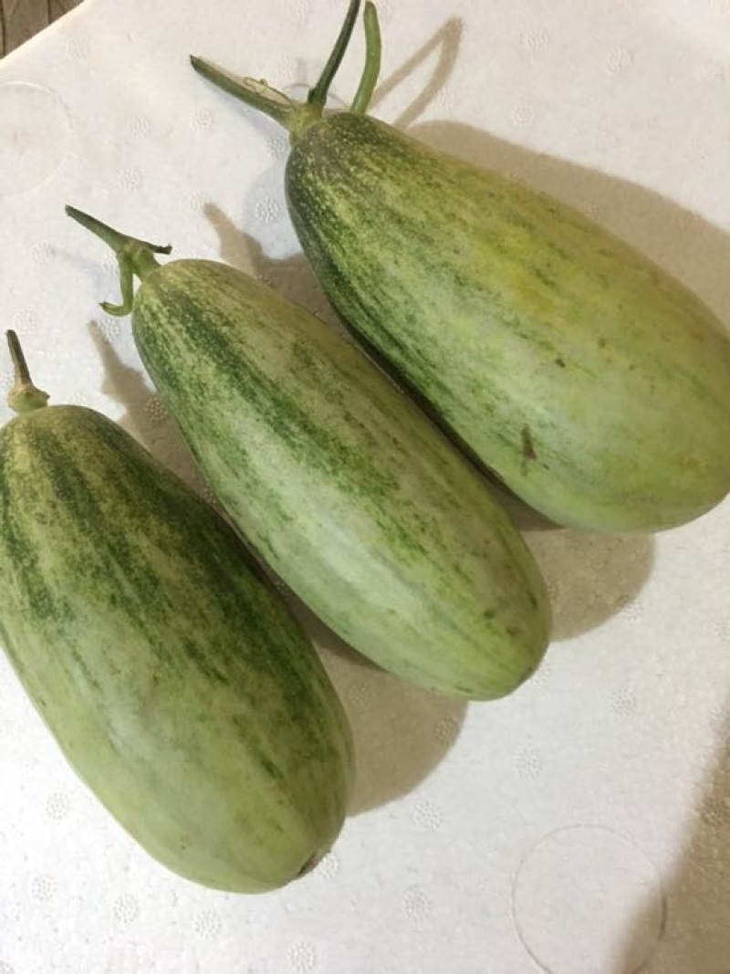 羊角蜜甜瓜0.3斤以上统货