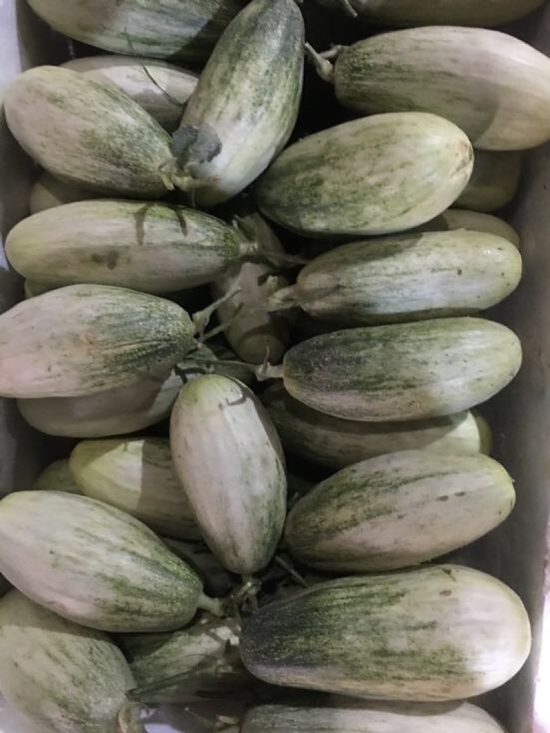 羊角蜜甜瓜0.3斤以上统货