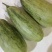 羊角蜜甜瓜0.3斤以上统货