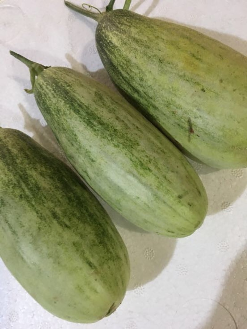 羊角蜜甜瓜0.3斤以上统货
