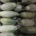 羊角蜜甜瓜0.3斤以上统货