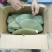 芦荟柱形20cm以上