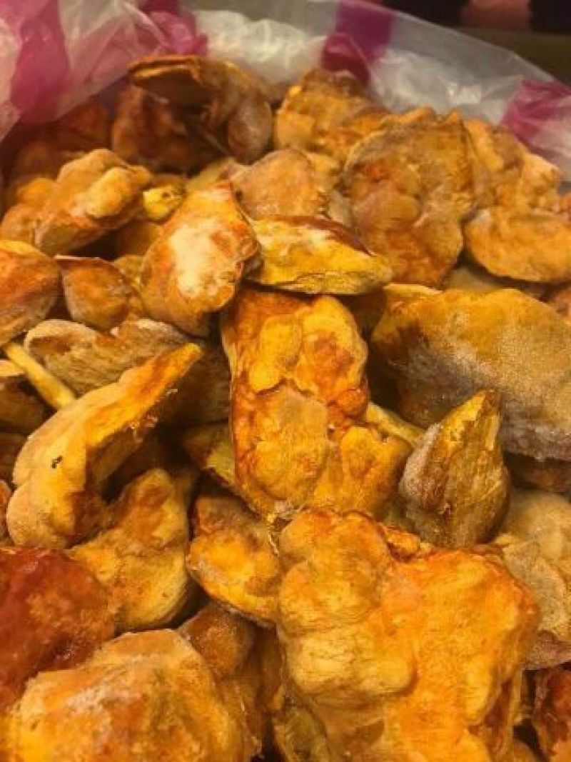 牛樟菇百分百生鲜四年牛樟菇