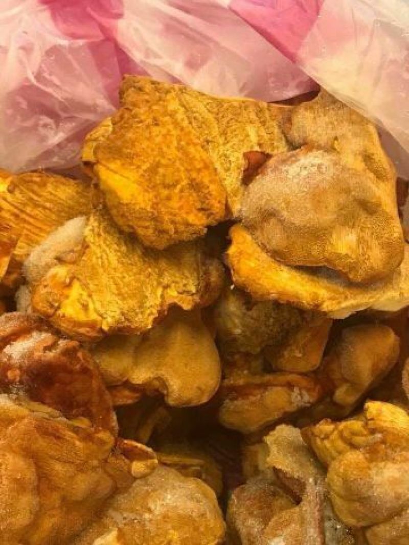 牛樟菇百分百生鲜四年牛樟菇