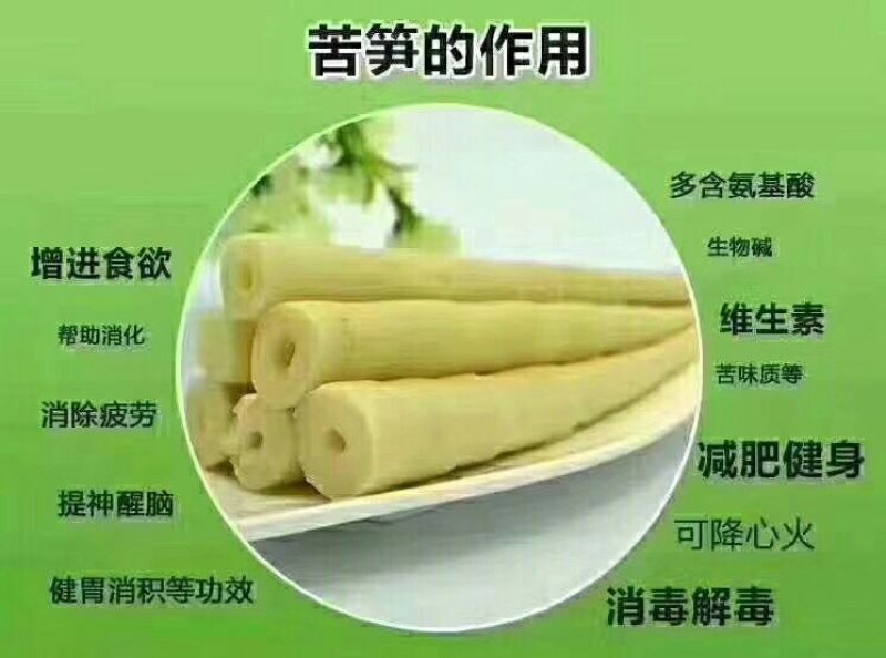 苦笋大量野生苦笋新鲜上市