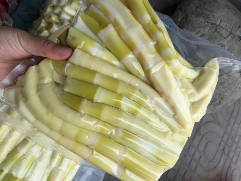 苦笋大量野生苦笋新鲜上市