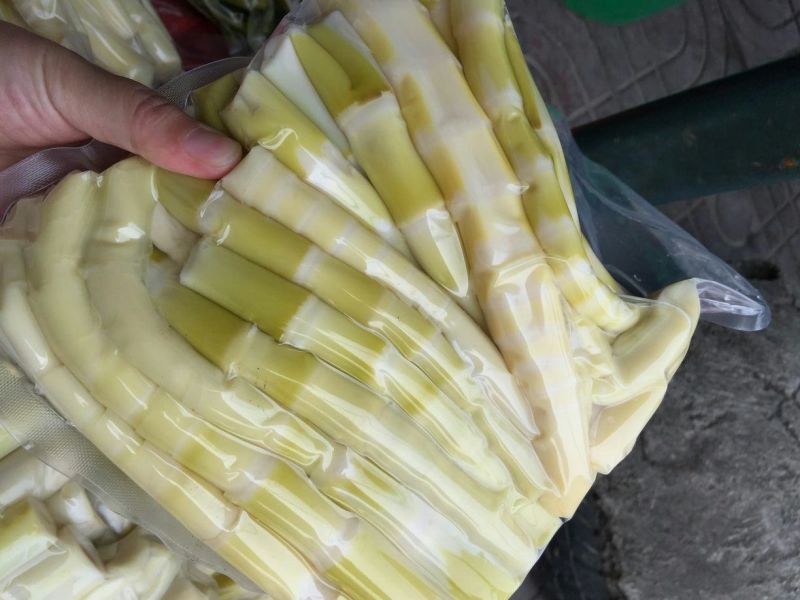苦笋大量野生苦笋新鲜上市