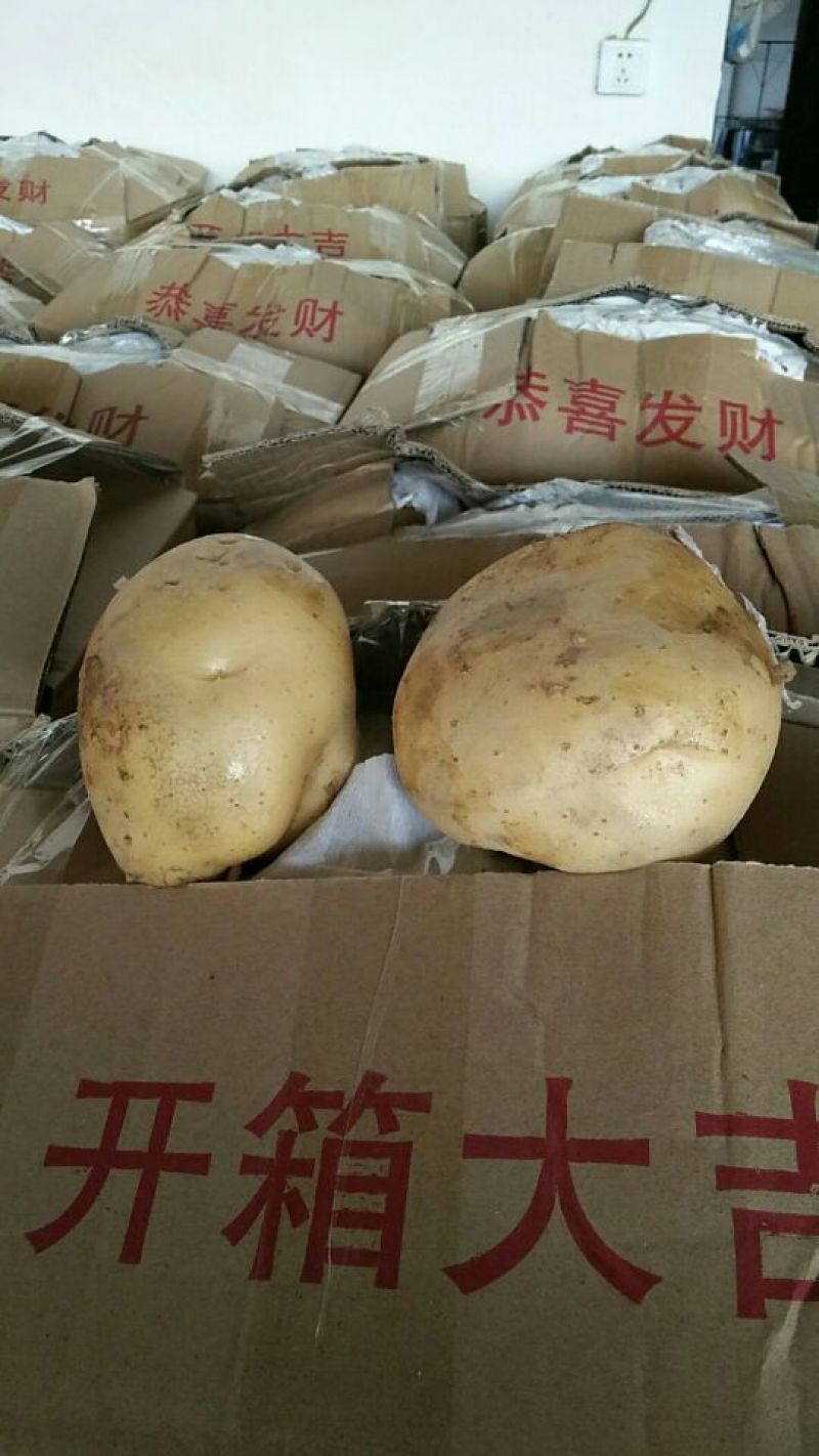 6薯黄皮白肉好土豆产地直销
